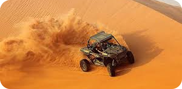 Buggy Action