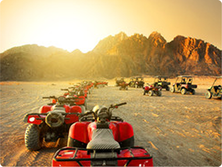 Quad Bike in Desert Action