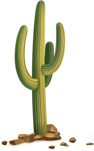 cactus in the Dubai desert
